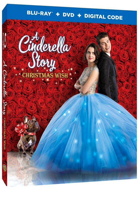 'A Cinderella Story: Christmas Wish' is Coming to DVD!
