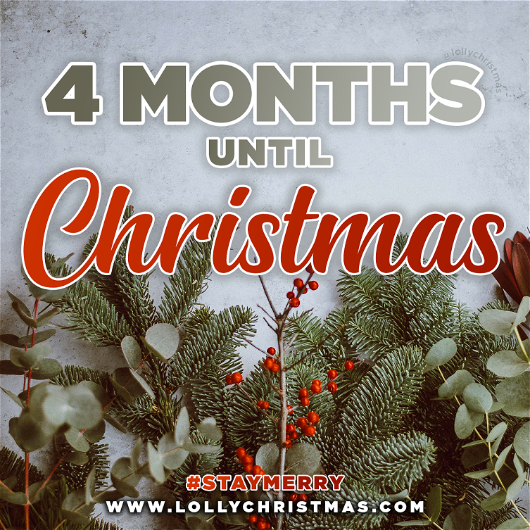 There Are 4 Months Until Christmas!